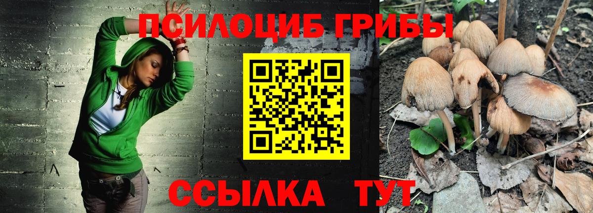 Псилоцибиновые грибы MAGIC MUSHROOMS  Вход с VPN  Уварово 